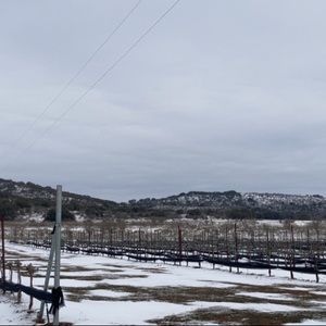 Meet your Posher, Devon